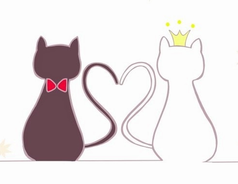 【長崎】シトラスカフェ5/8（日）☆新企画☆集まれ猫好き恋活Party(=^・^=)☆彡