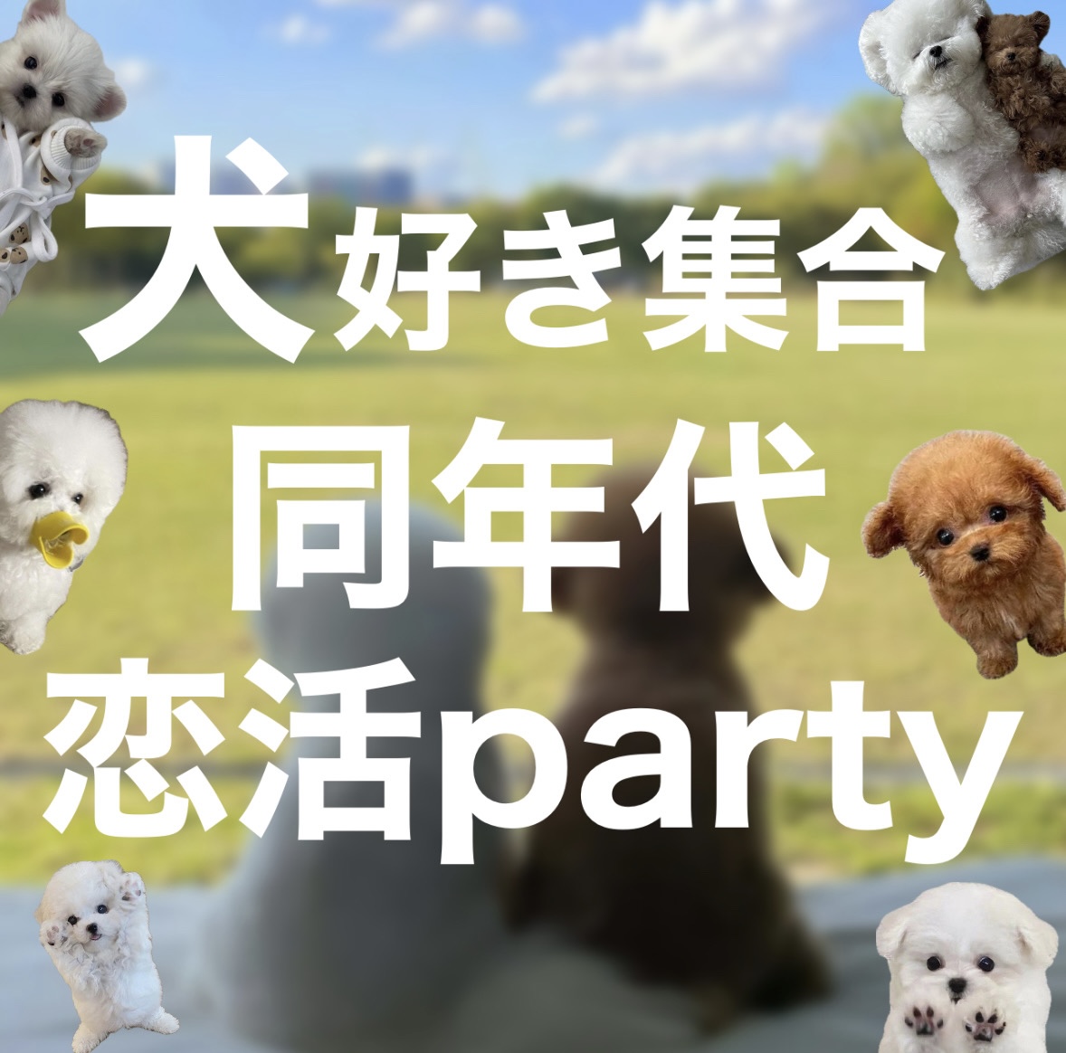 【長崎】恋活シトラス10/20（日）まだ間に合います【☆開催決定☆】【男子完売】【女性も残りわずか】【12:30-14:00】犬好きの28～43歳の方限定☆お一人参加大歓迎恋活Party☆彡